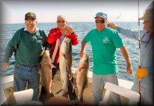 salt waters best striped bass tuna deep sea fishing, Cape Cod Fishing  Charter, sportfishing, Green Harbor, Marshfield MA