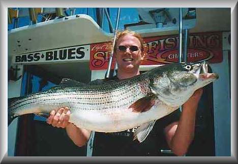 striper7